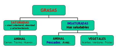 GraficoGrasas.jpg (18673 bytes)