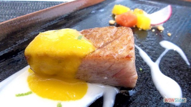 Campero Junio 2016 10