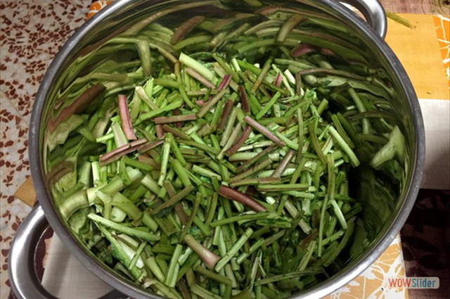 Berza de tagarninas 2