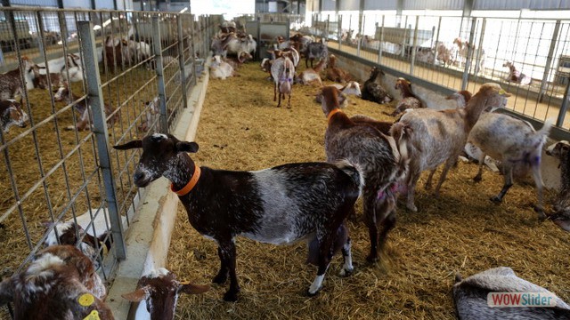 Excursion Sanlucar Bucarito 4