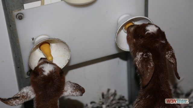 Excursion Sanlucar Bucarito 5