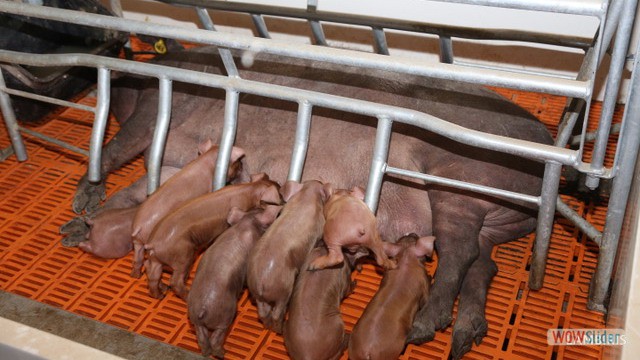 Excursion Sanlucar Bucarito 6