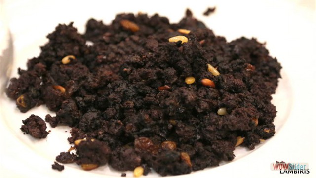 Jornadas Zamoranas 2017 10