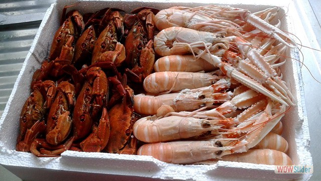 8 Pestinos 2016 mariscos