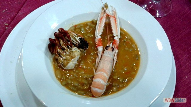 9 Pestinos 2016 Alubia verdina