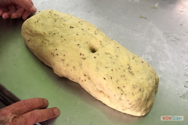 Petinos Diciembre 2017 11