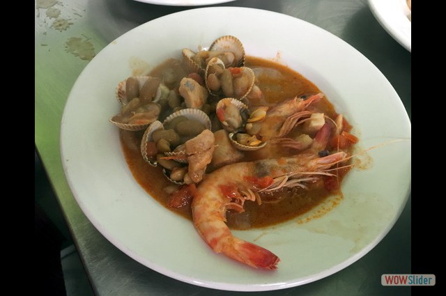 Petinos Diciembre 2017 16