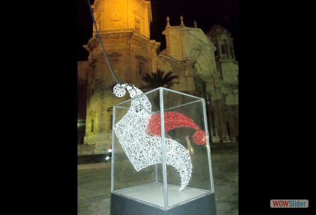 Slider Terraza Febrero 2017 11