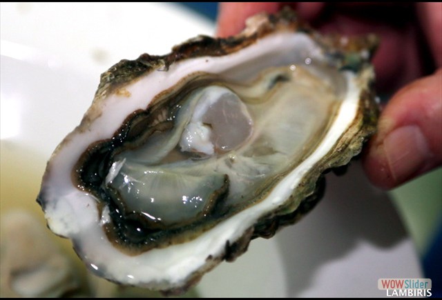 Slider Terraza Febrero 2017 6