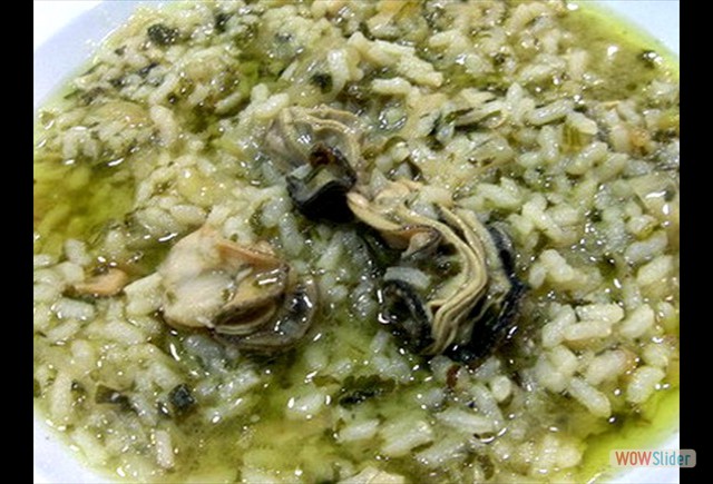 Slider Terraza Febrero 2017 8