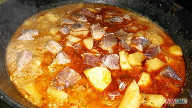 Terraza Julio 2016 Guiso de atun 1