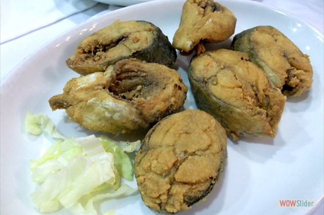 Terraza CABALLADA 20