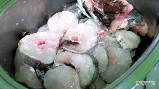 Terraza Junio 2016 Pescadilla