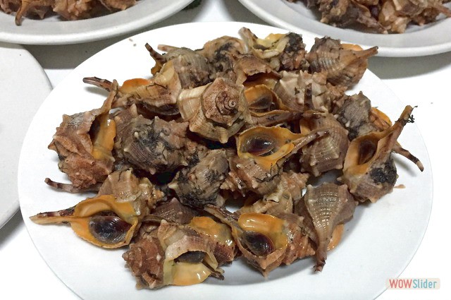 Terraza Marzo 2017 1