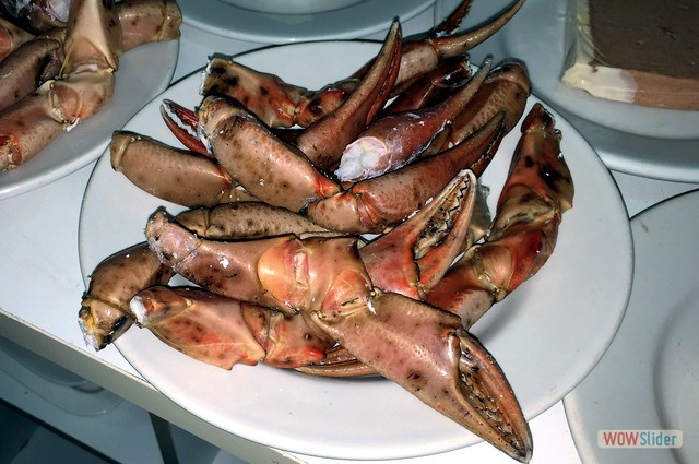 Terraza Marzo 2017 2