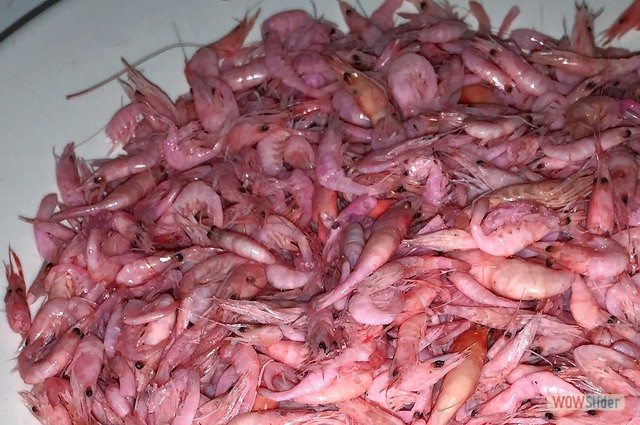 Terraza Marzo 2017 4