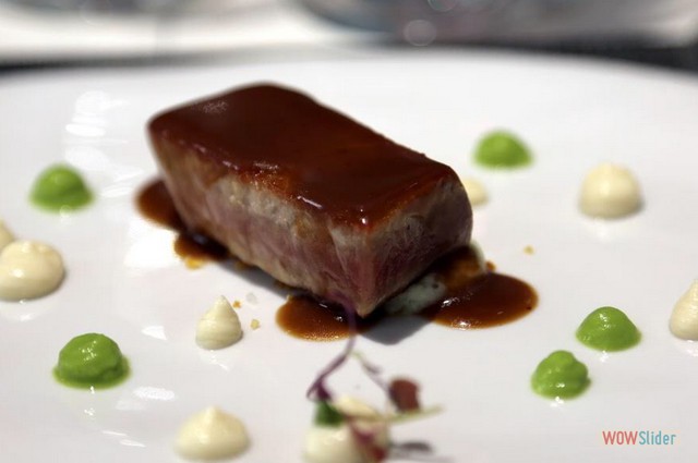 Campero Junio 2019.-1