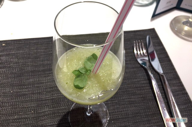 Campero Junio 2019.-Gin tonic