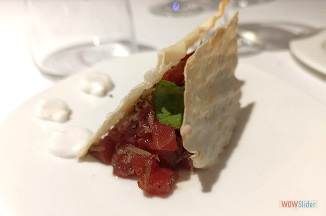 Campero Junio 2023 10