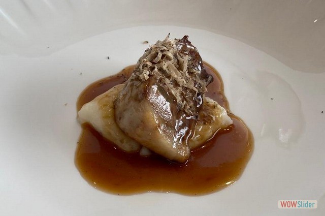 Campero Junio 2023 15