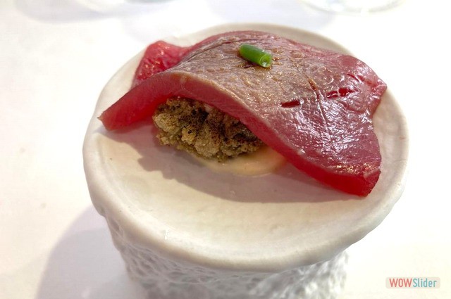 Campero Junio 2023 2