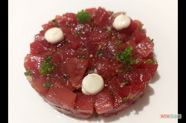 Campero Junio 2023 4