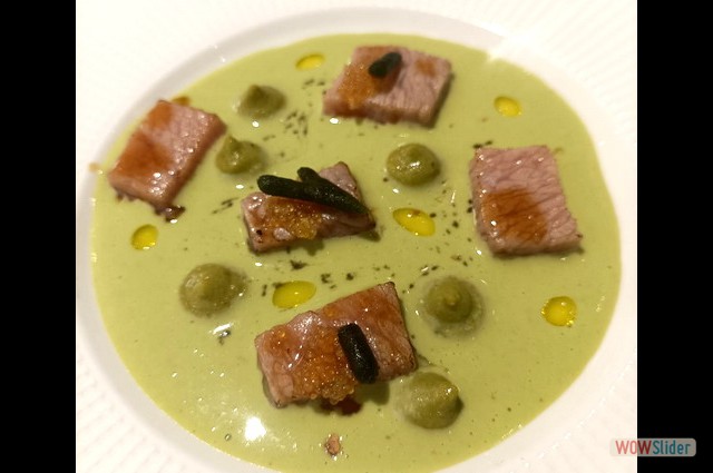 Campero Junio 2023 7