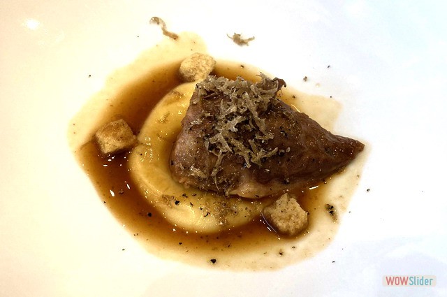 Campero Octubre 2021 4S