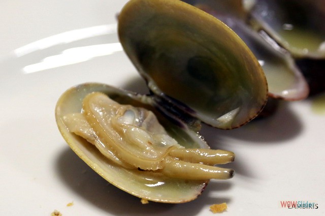 ManolitoSeptiembre2019 2