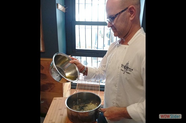 Juan Horh (Salicornia)