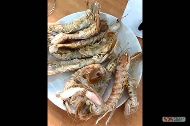 Septima Febrero 2025 1