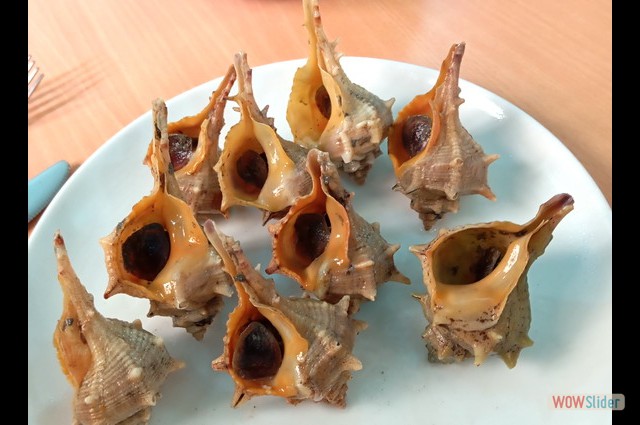 Septima Febrero 2025 4