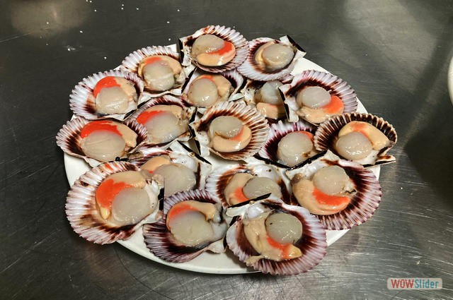 Terraza Febrero 2023 Zamburi�al