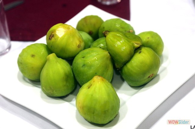 Terraza Julio 2018 8