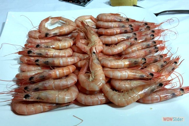 Terraza Julio 2019 5