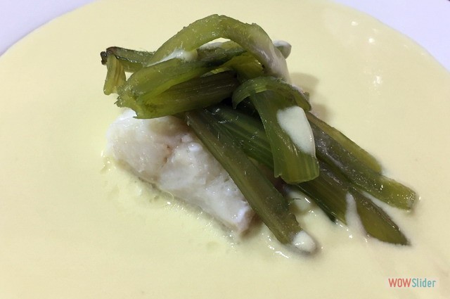 Terraza Marzo 2019 (3)