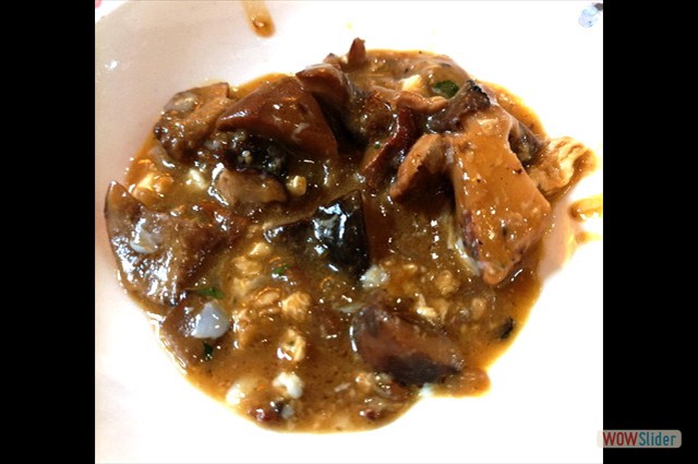 Ventorrillo Enero 2024 2