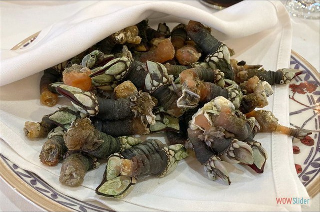 Ventorrillo Enero-2025 2